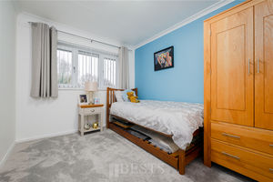 Paddock Rise Beechwood